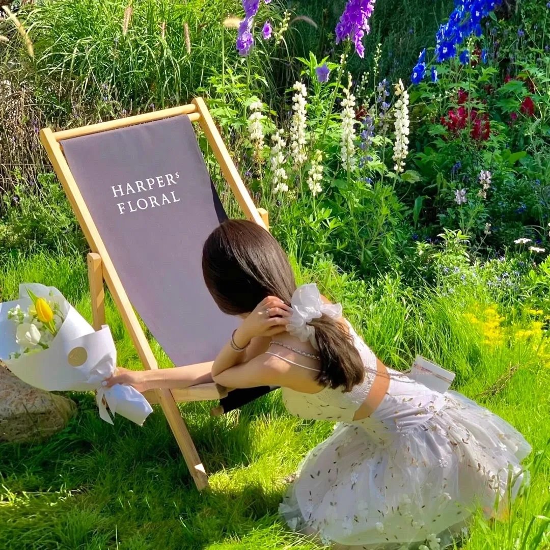 新版：贤妻扶我凌云志，我还贤妻万两金